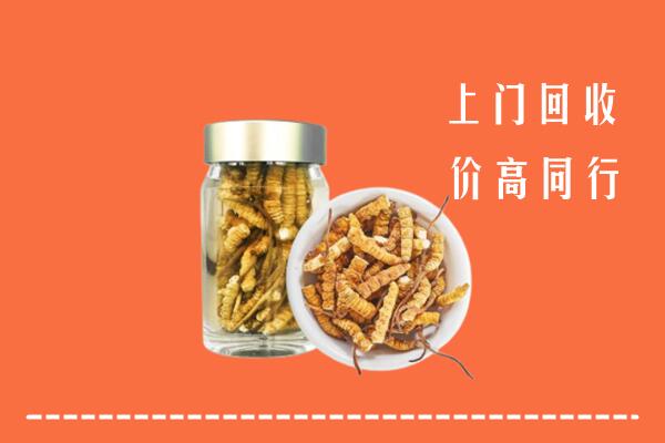 海口市高价回收冬虫夏草