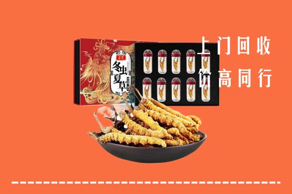 收购行情：海口市回收虫草